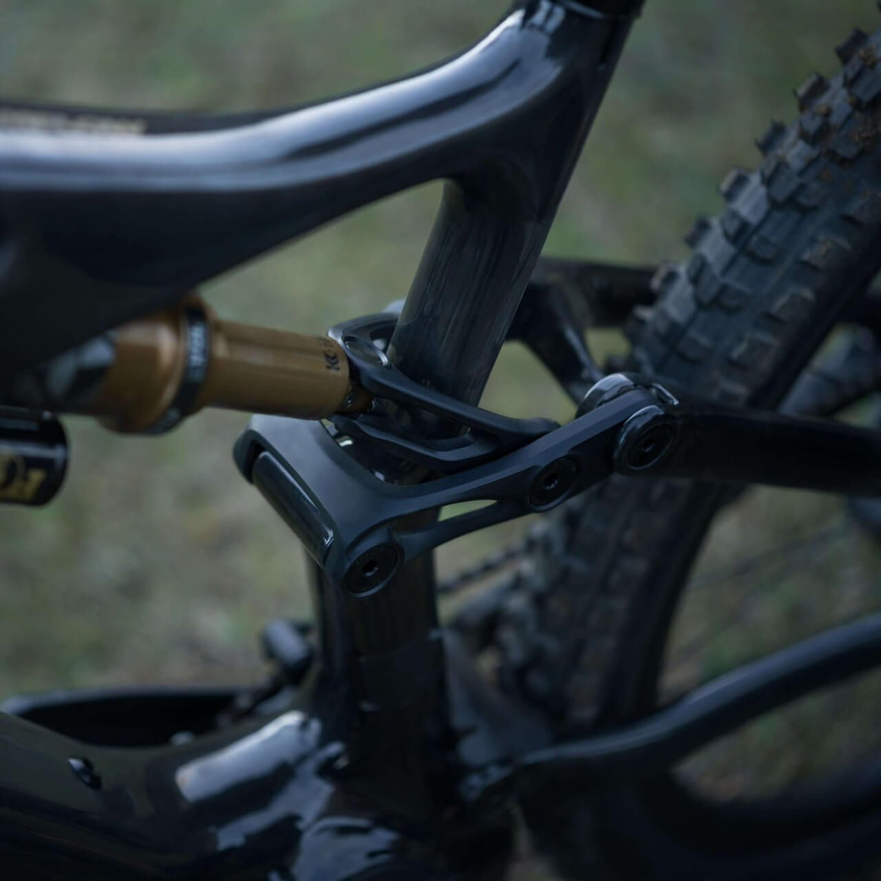 Amflow PL Carbon (800Wh) - Imagen 6